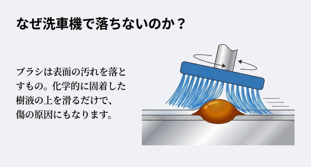 洗車機では樹液が落ちない理由